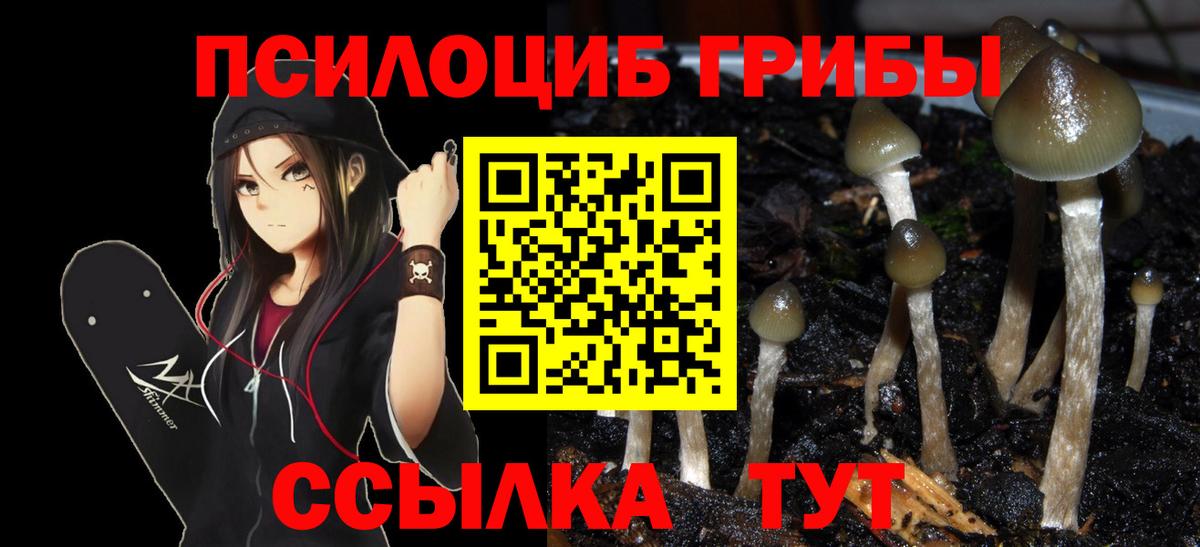 Псилоцибиновые грибы GOLDEN TEACHER Кузнецк