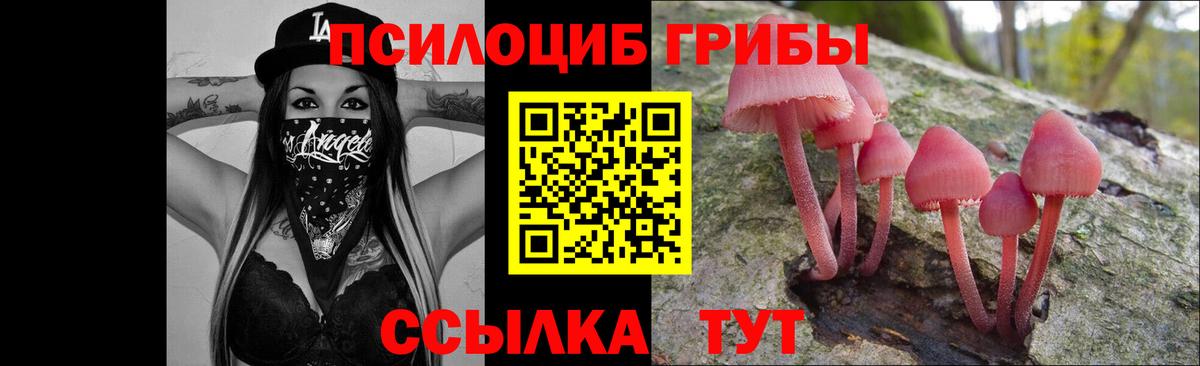 Галлюциногенные грибы мухоморы  Галлюциногенные грибы MAGIC MUSHROOMS  Кузнецк  Вход с VPN 