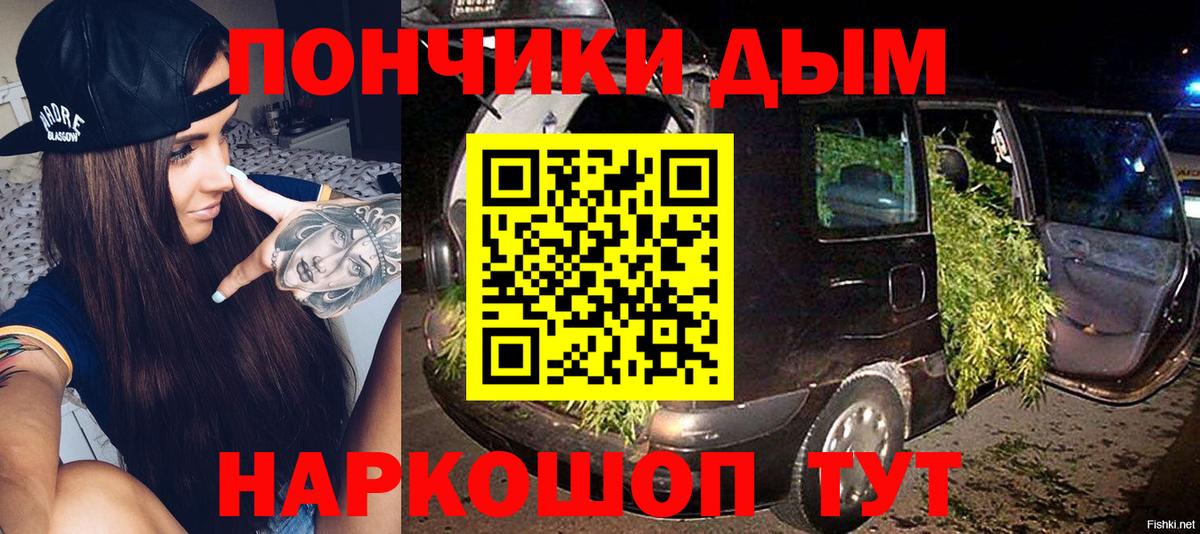 Каннабис сатива Кузнецк